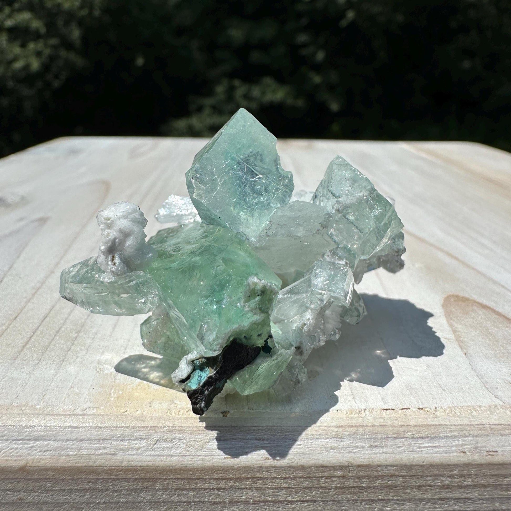 Gorgeous Green Apophyllite with Gyrolite and Chalcedony Specimen from Pune Maharashtra India