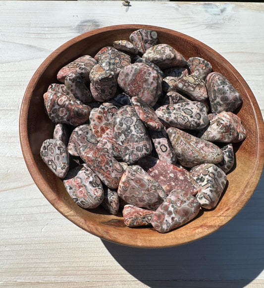 Medium Leopardskin Jasper Tumbled Stone