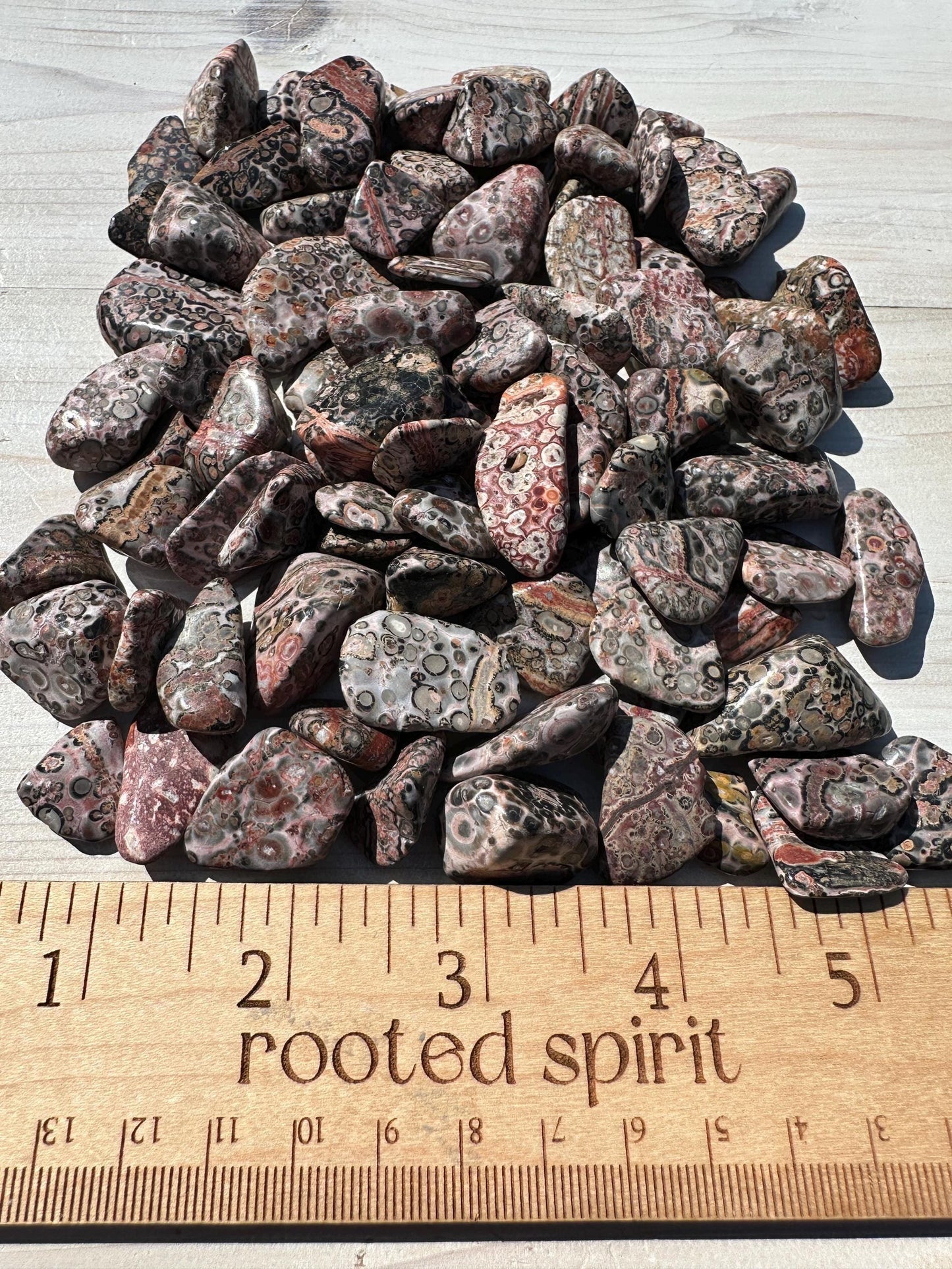Medium Leopardskin Jasper Tumbled Stone