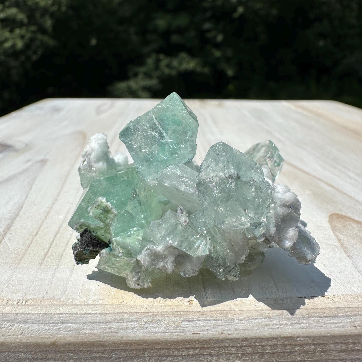 Gorgeous Green Apophyllite with Gyrolite and Chalcedony Specimen from Pune Maharashtra India