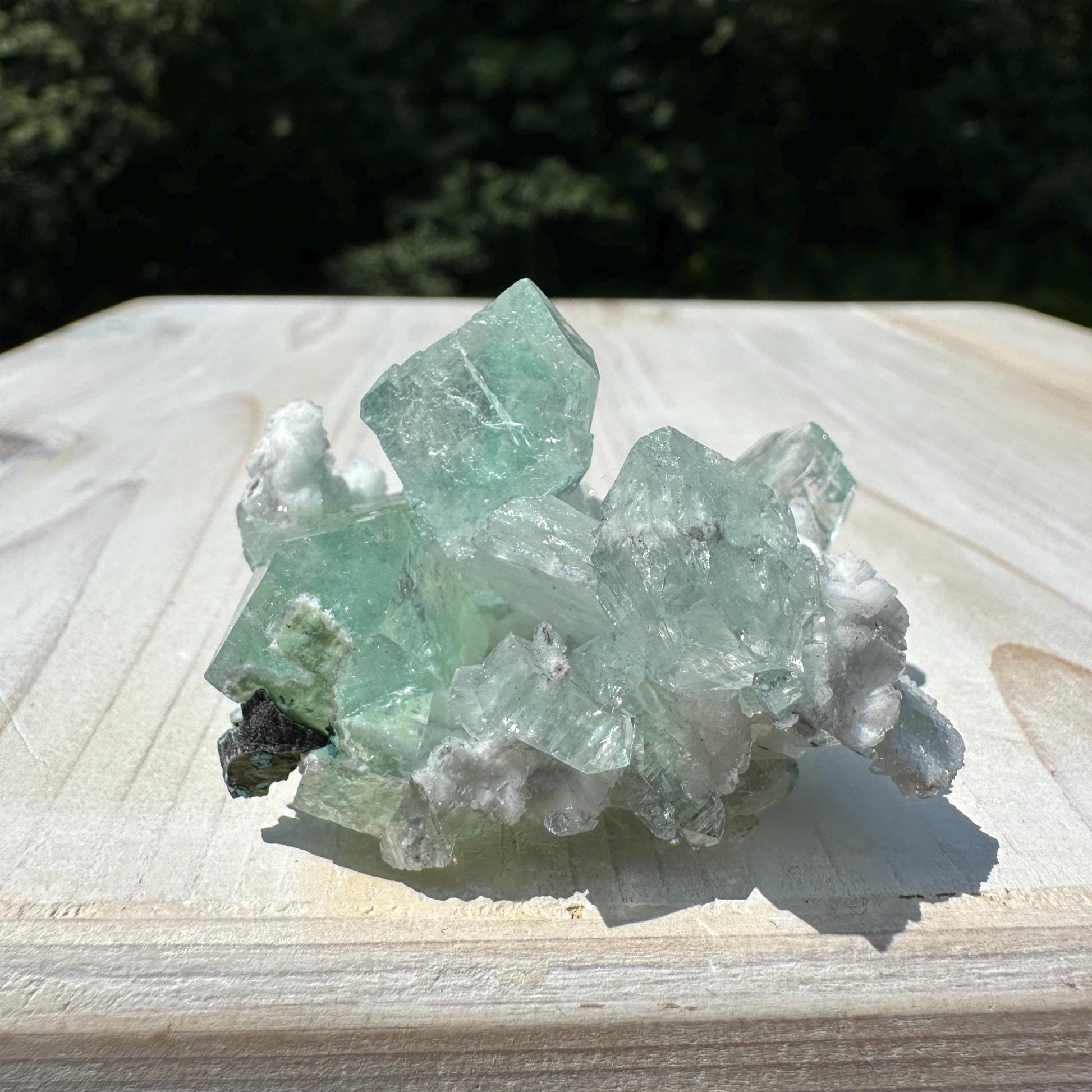 Gorgeous Green Apophyllite with Gyrolite and Chalcedony Specimen from Pune Maharashtra India
