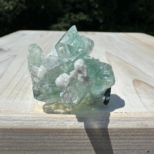 Gorgeous Green Apophyllite with Gyrolite and Chalcedony Specimen from Pune Maharashtra India
