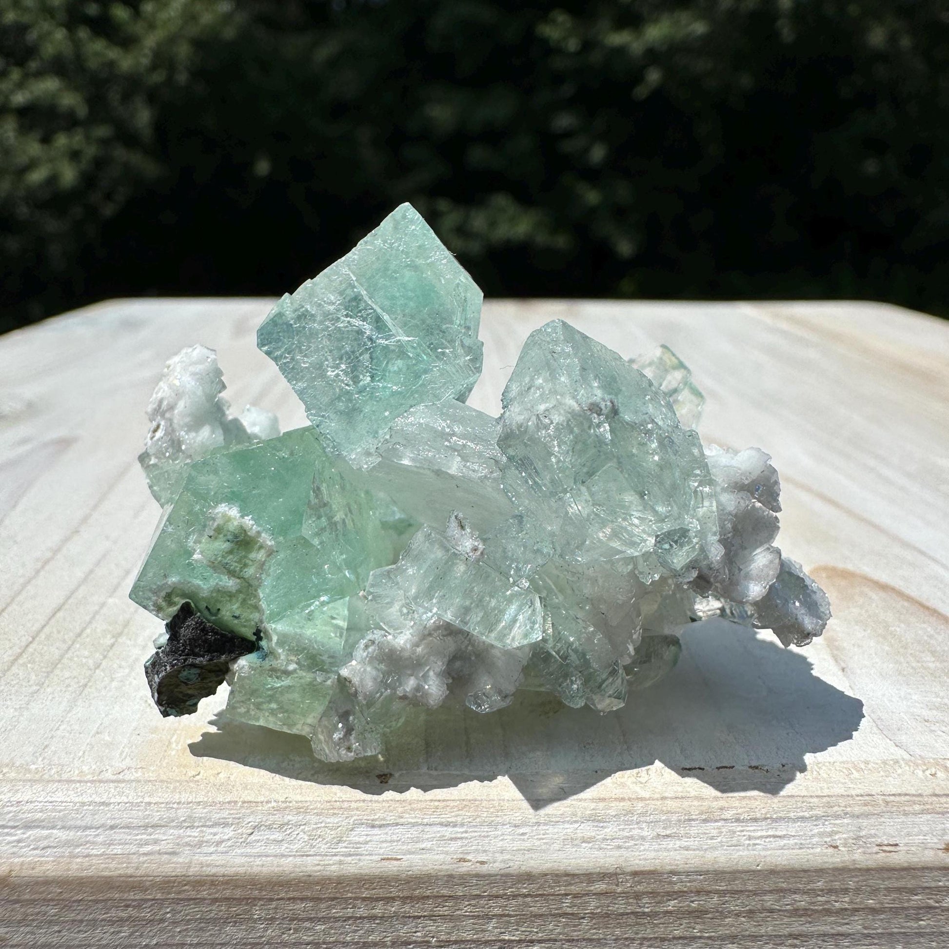 Gorgeous Green Apophyllite with Gyrolite and Chalcedony Specimen from Pune Maharashtra India