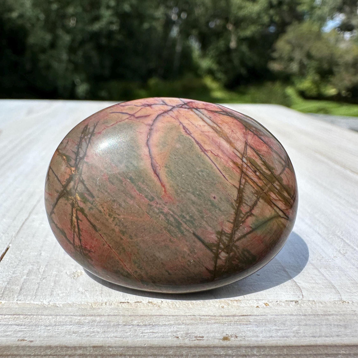 Gorgeous Cherry Creek Jasper Palm Stones - #1