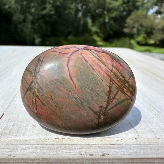 Gorgeous Cherry Creek Jasper Palm Stones - #1