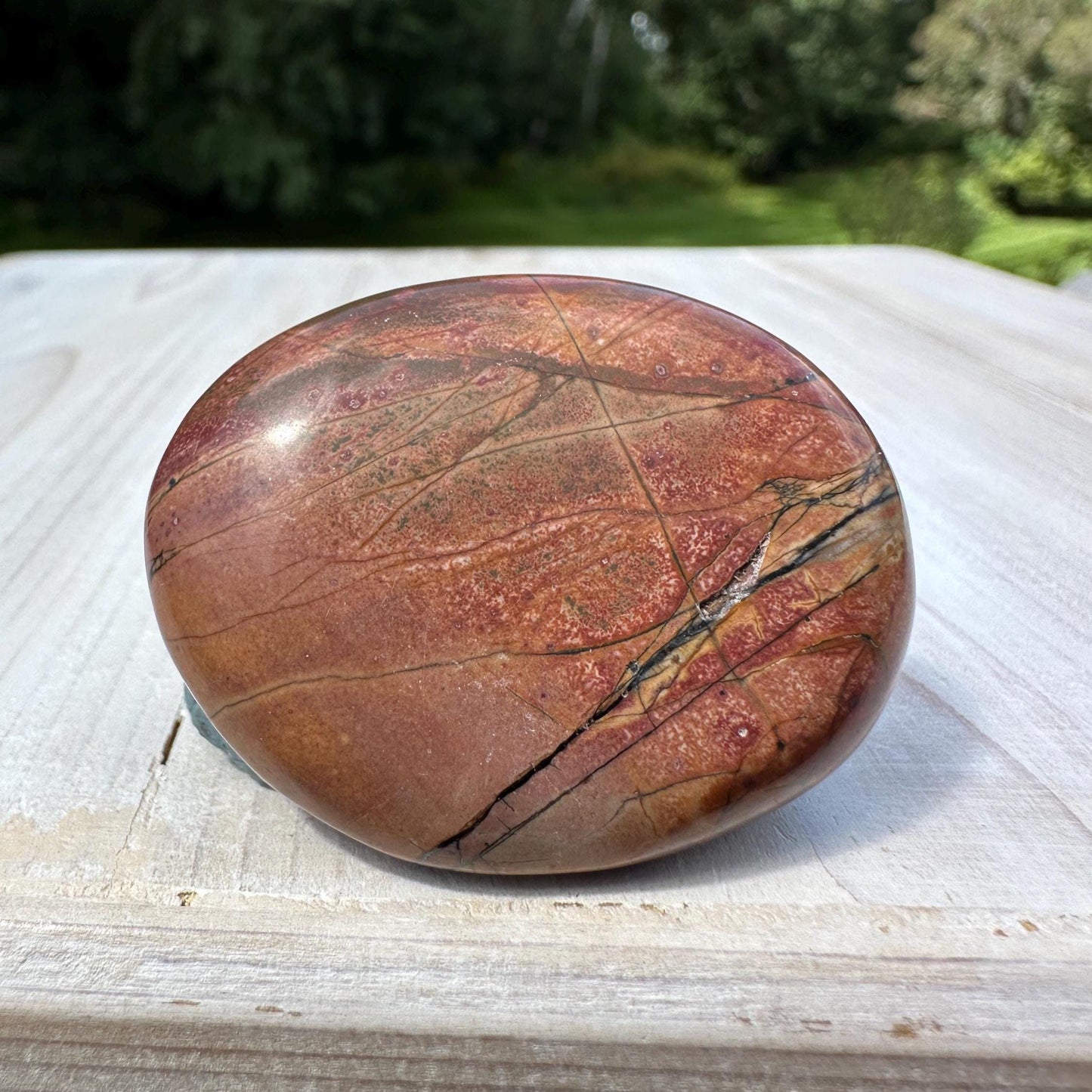 Gorgeous Cherry Creek Jasper Palm Stones - #8