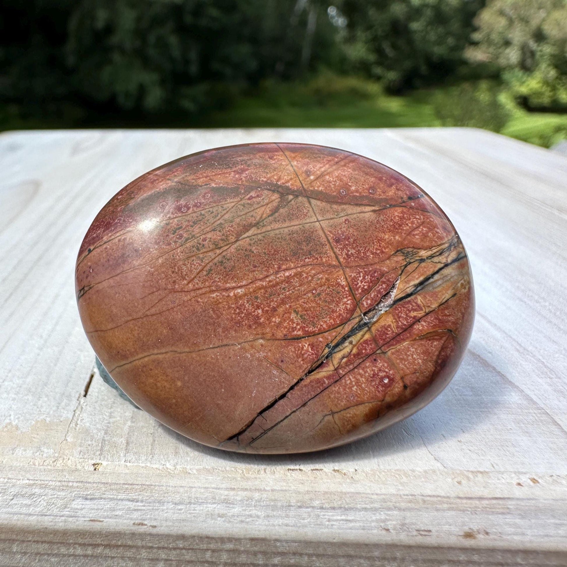 Gorgeous Cherry Creek Jasper Palm Stones - #8