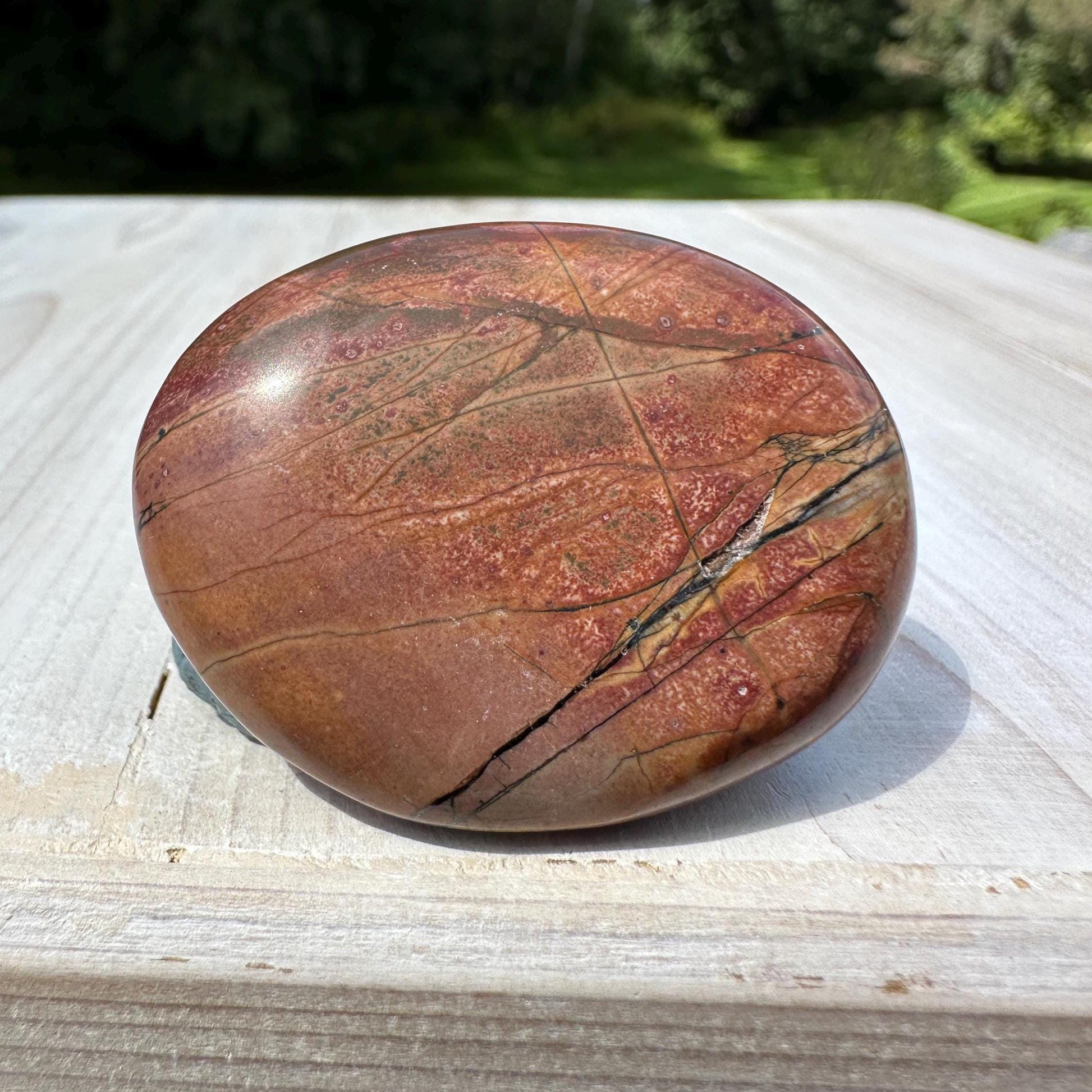 Gorgeous Cherry Creek Jasper Palm Stones - #8