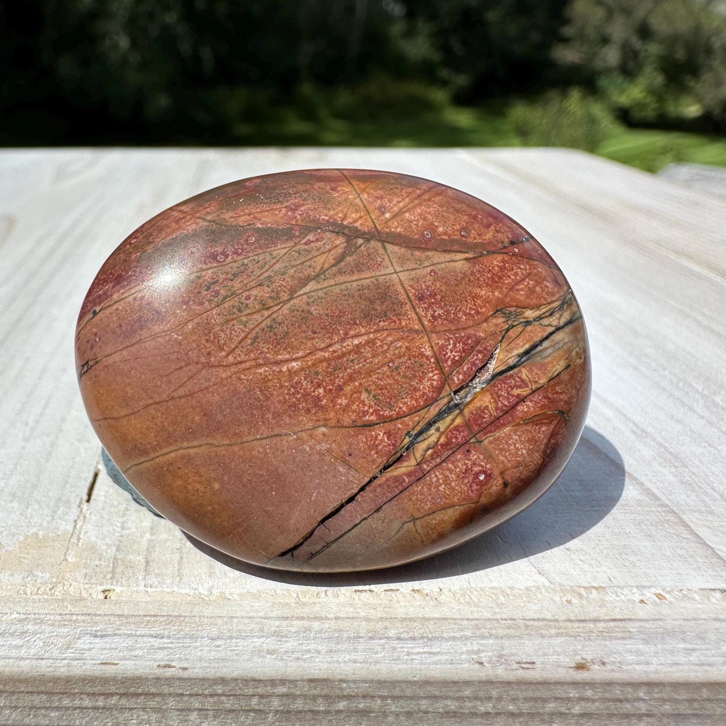 Gorgeous Cherry Creek Jasper Palm Stones - #8