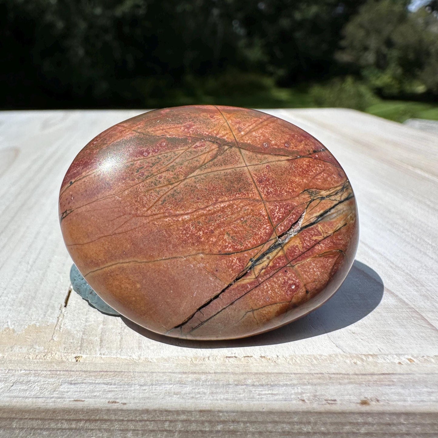 Gorgeous Cherry Creek Jasper Palm Stones - #8