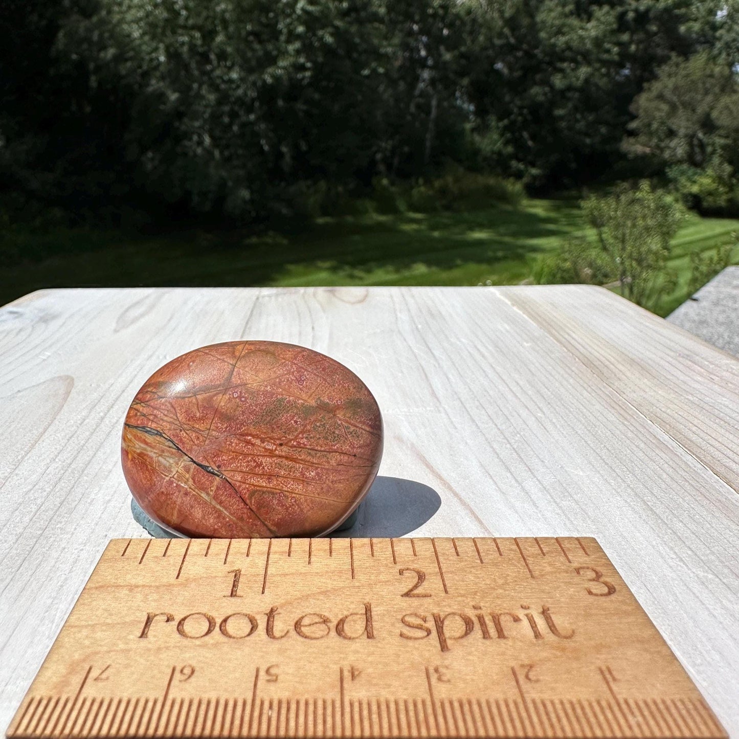 Gorgeous Cherry Creek Jasper Palm Stones - #8