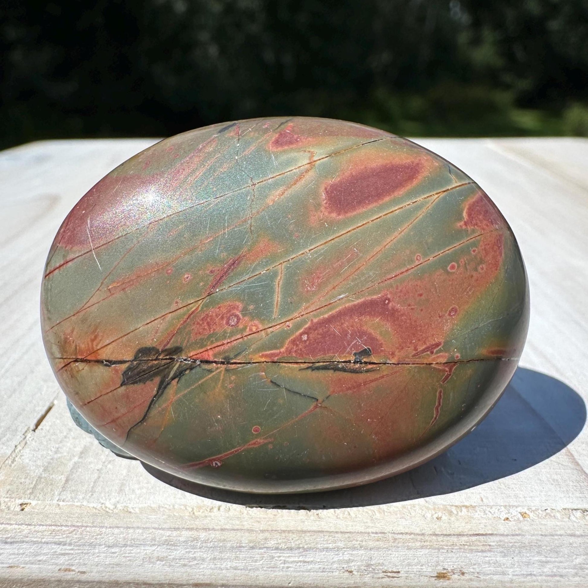 Gorgeous Cherry Creek Jasper Palm Stones - #10
