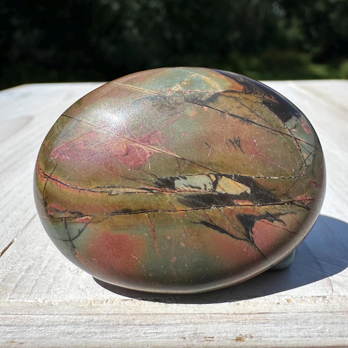 Gorgeous Cherry Creek Jasper Palm Stones - #10