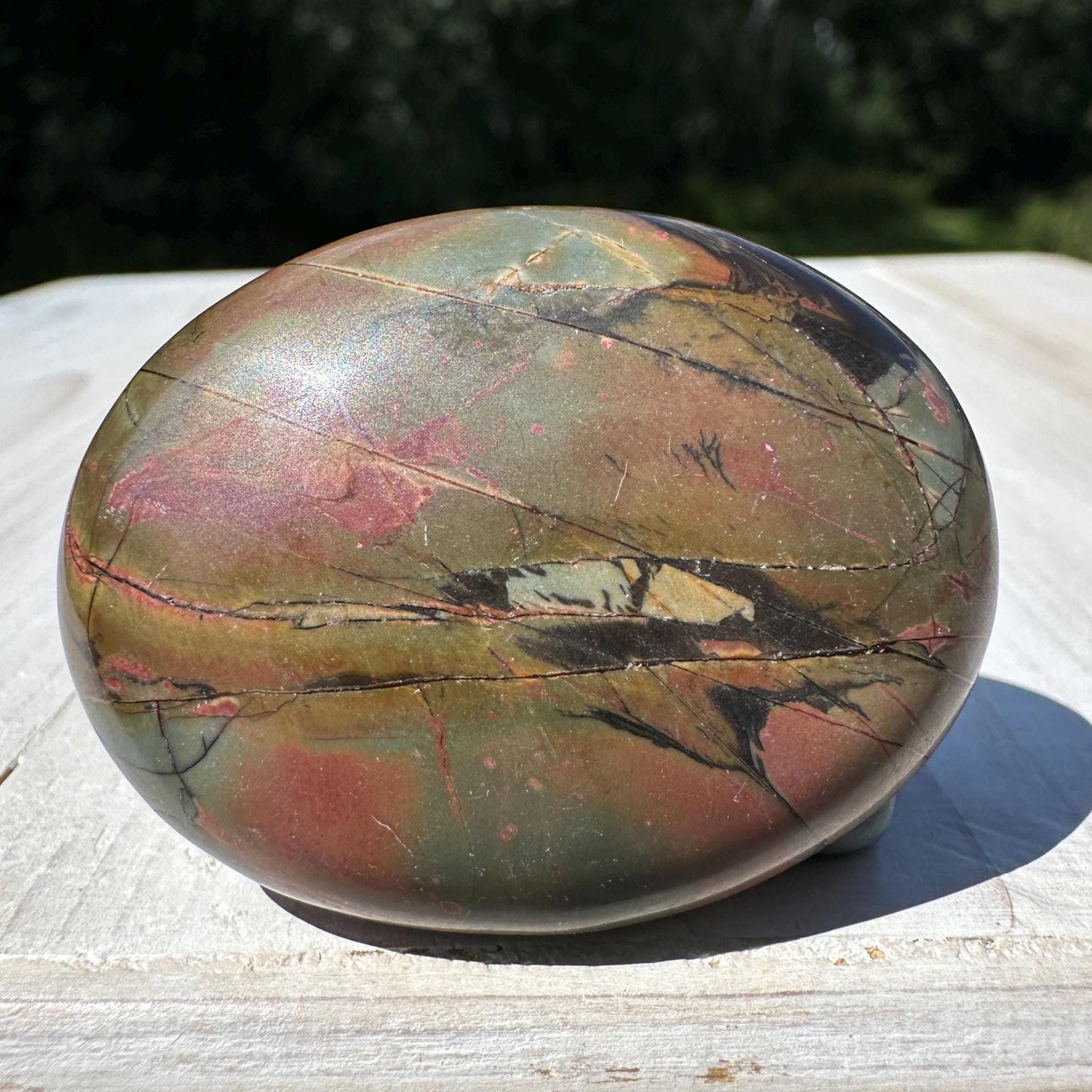 Gorgeous Cherry Creek Jasper Palm Stones - #10