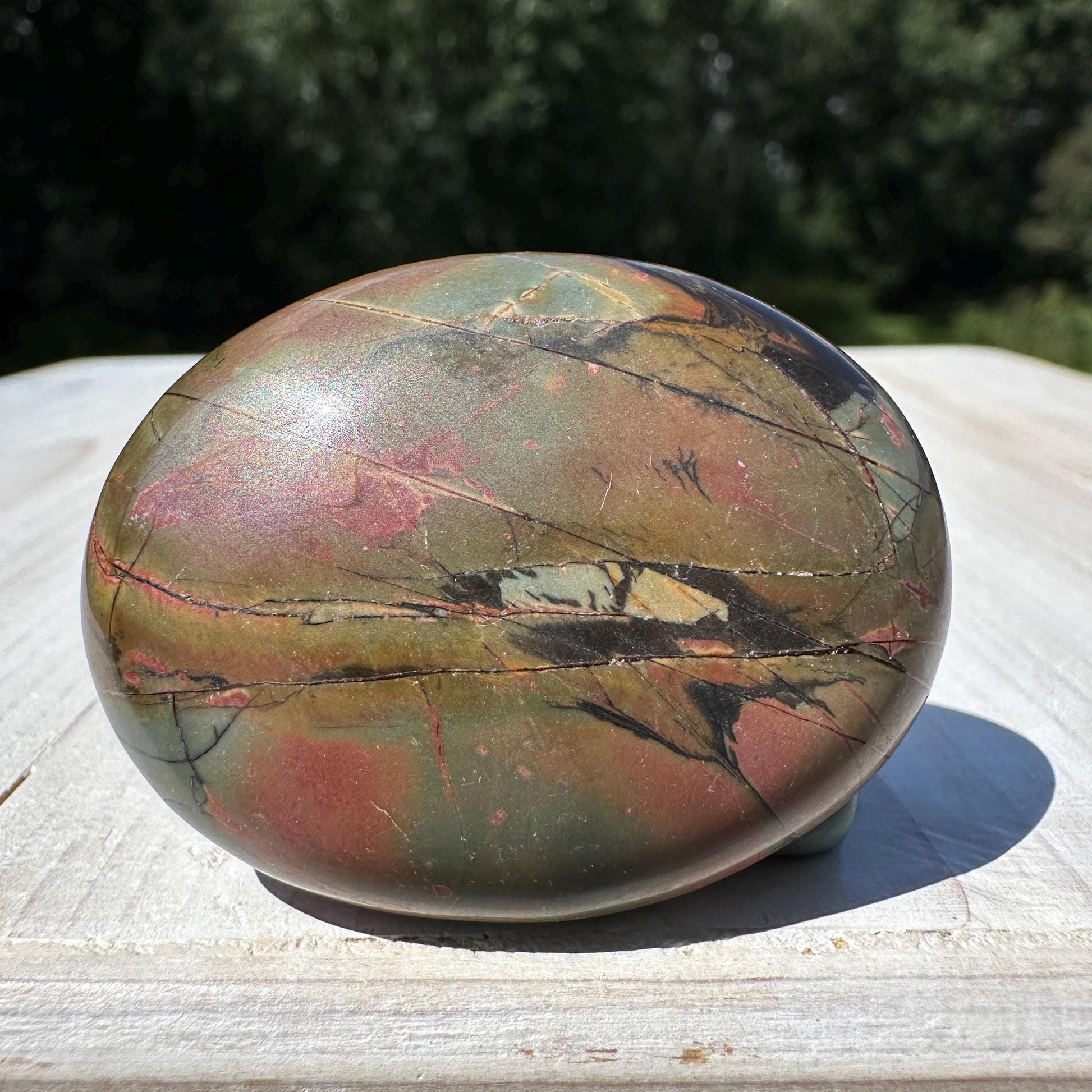 Gorgeous Cherry Creek Jasper Palm Stones - #10