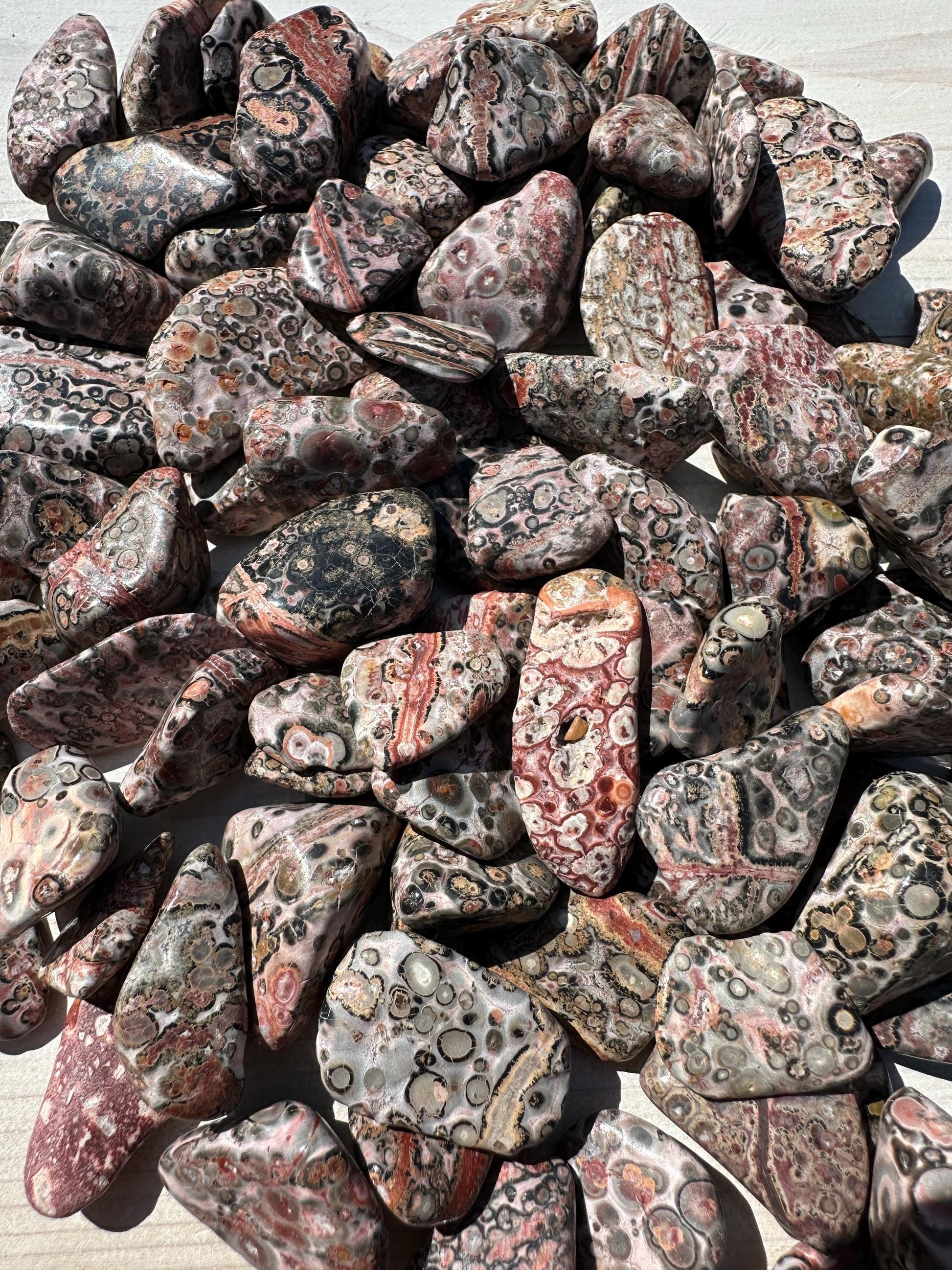 Medium Leopardskin Jasper Tumbled Stone