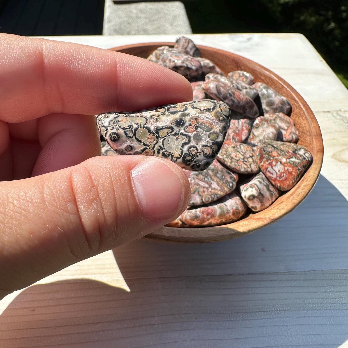 Medium Leopardskin Jasper Tumbled Stone