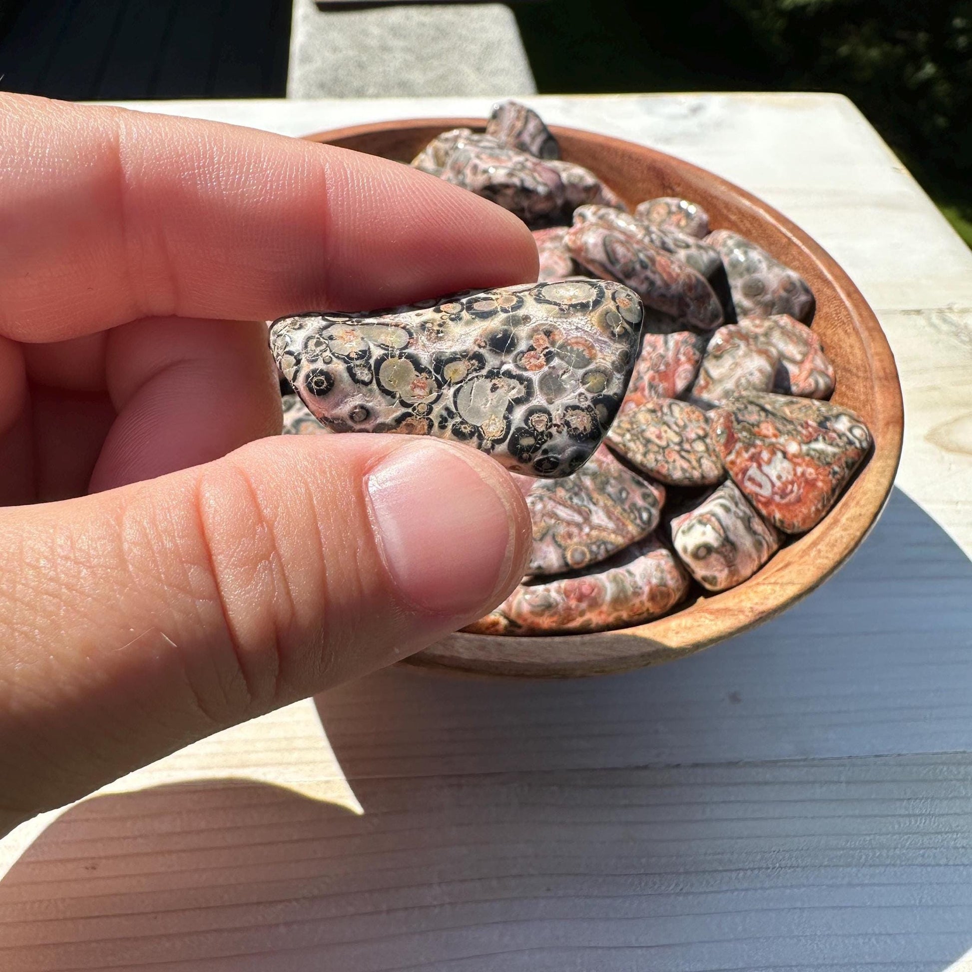 Medium Leopardskin Jasper Tumbled Stone