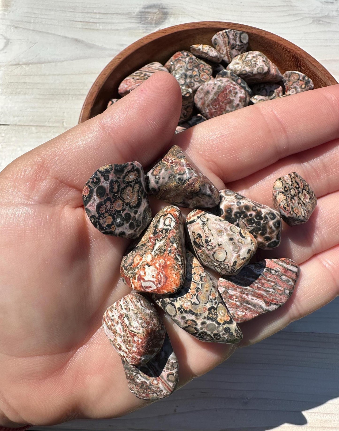 Medium Leopardskin Jasper Tumbled Stone