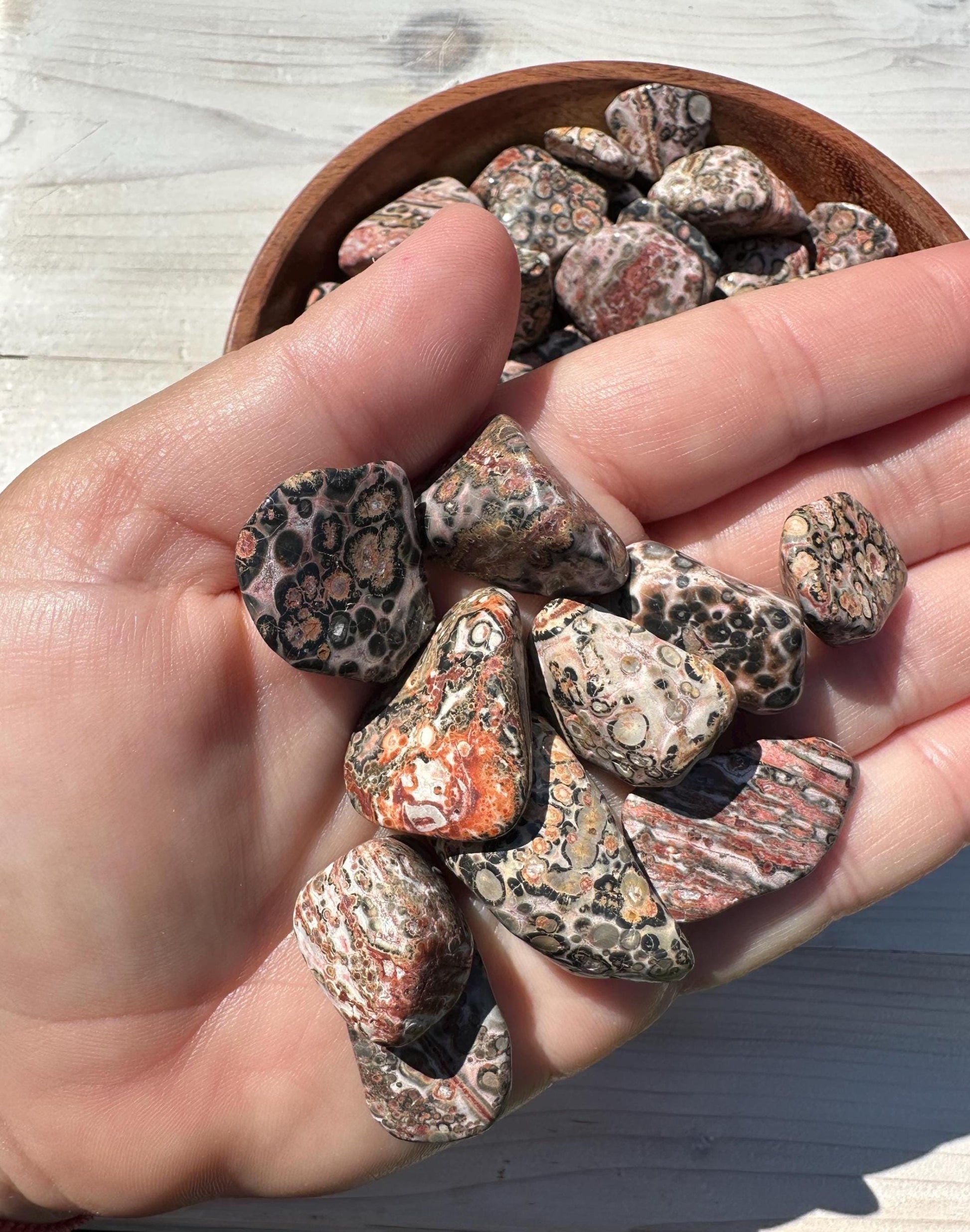 Medium Leopardskin Jasper Tumbled Stone