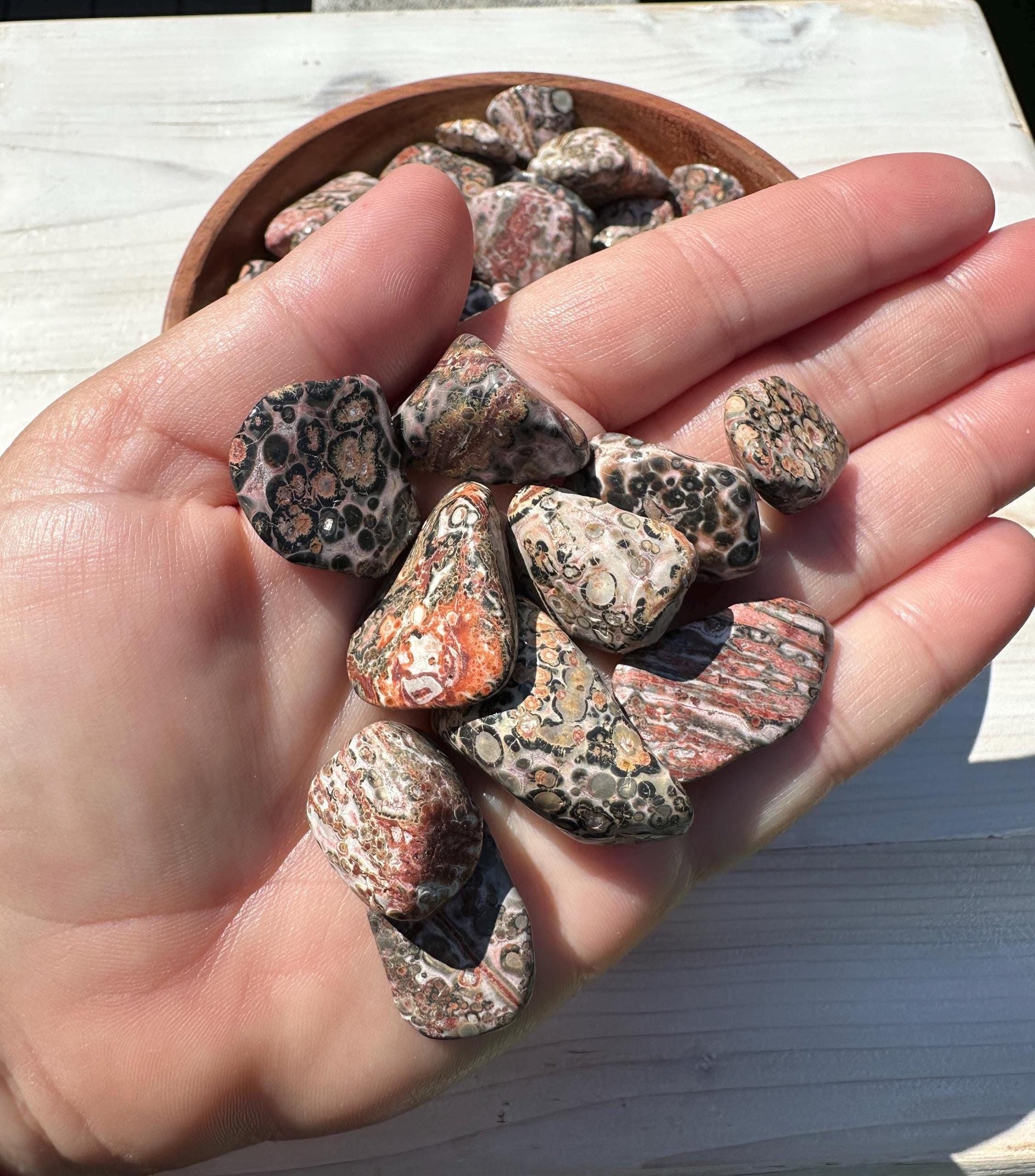 Medium Leopardskin Jasper Tumbled Stone