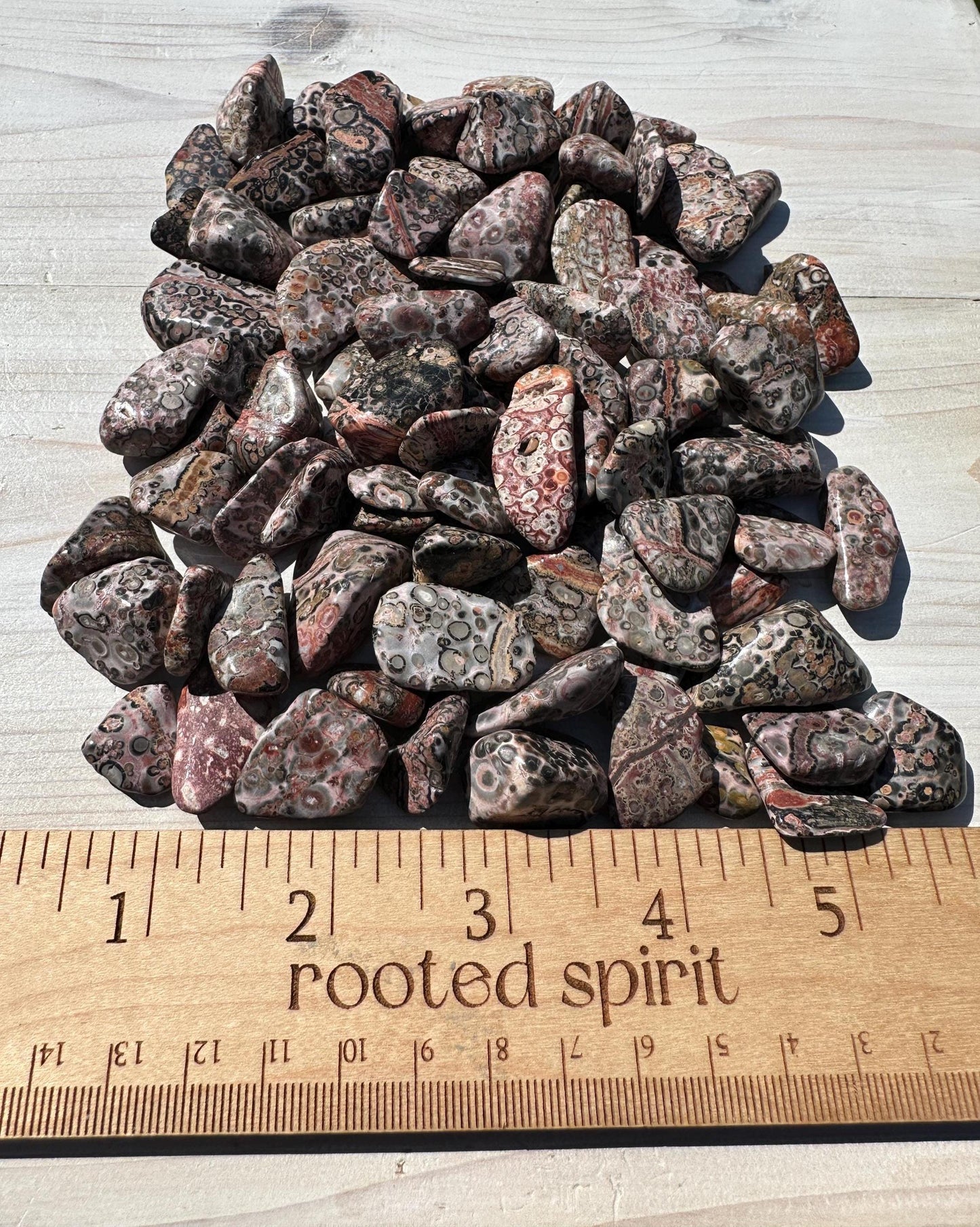 Medium Leopardskin Jasper Tumbled Stone
