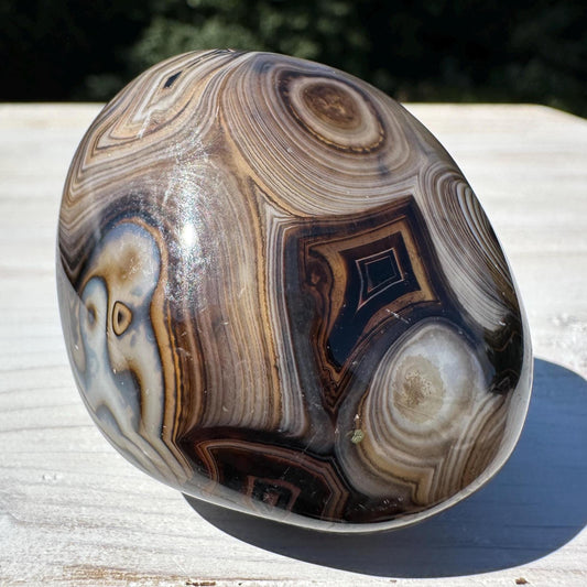 Gorgeous Sardonyx Freeform - #3