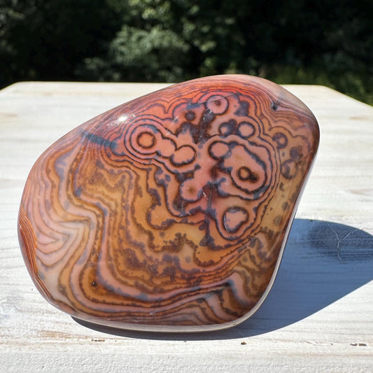 Gorgeous Sardonyx Freeform - #4