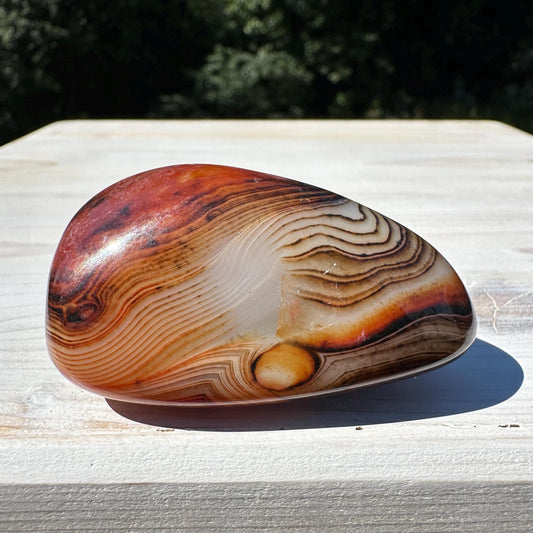 Gorgeous Sardonyx Freeform - #6