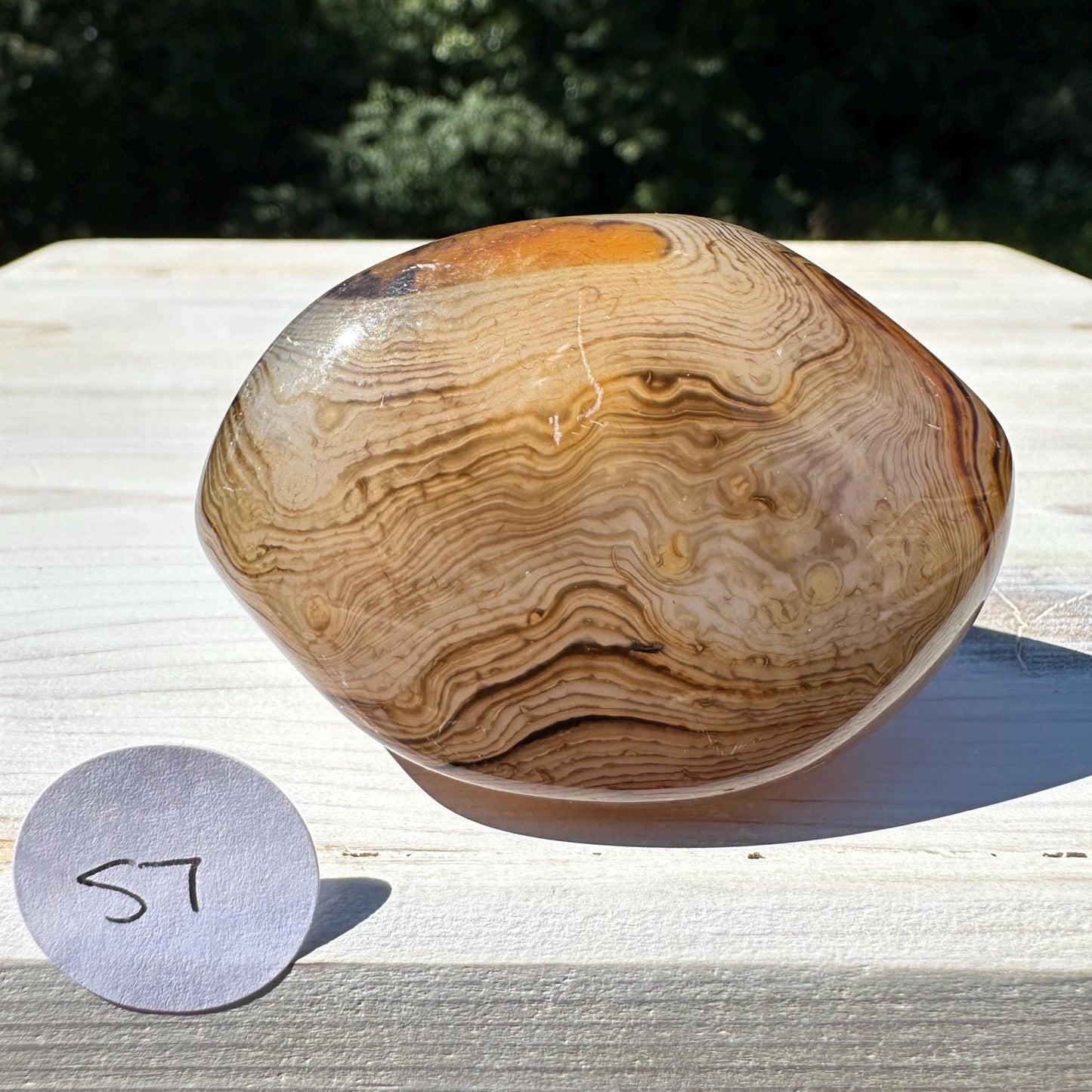 Gorgeous Sardonyx Freeform - #7