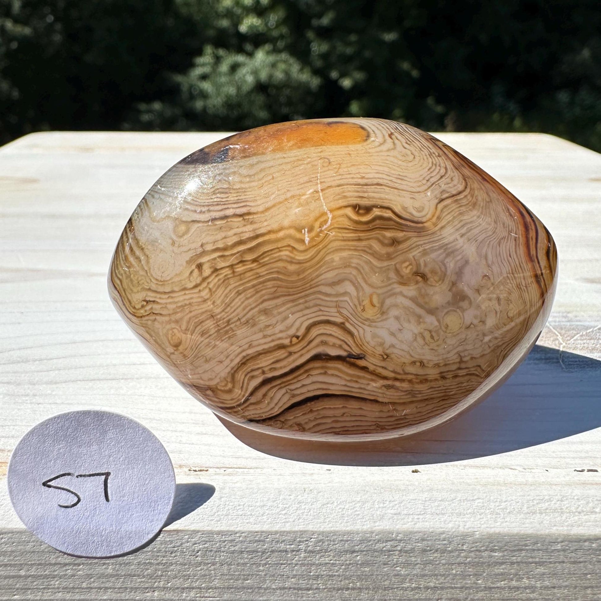 Gorgeous Sardonyx Freeform - #7