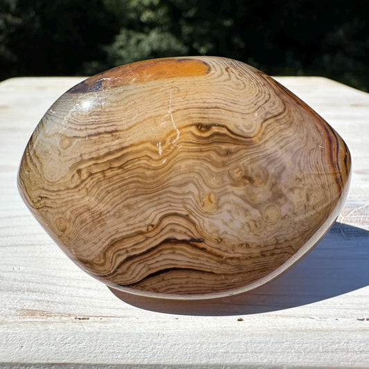 Gorgeous Sardonyx Freeform - #7
