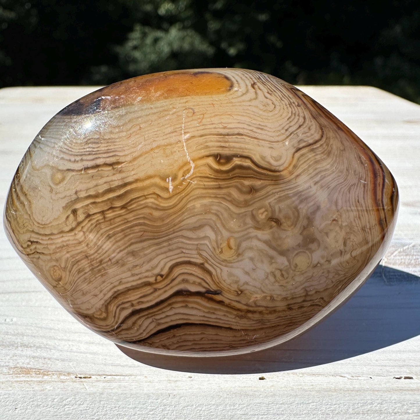 Gorgeous Sardonyx Freeform - #7