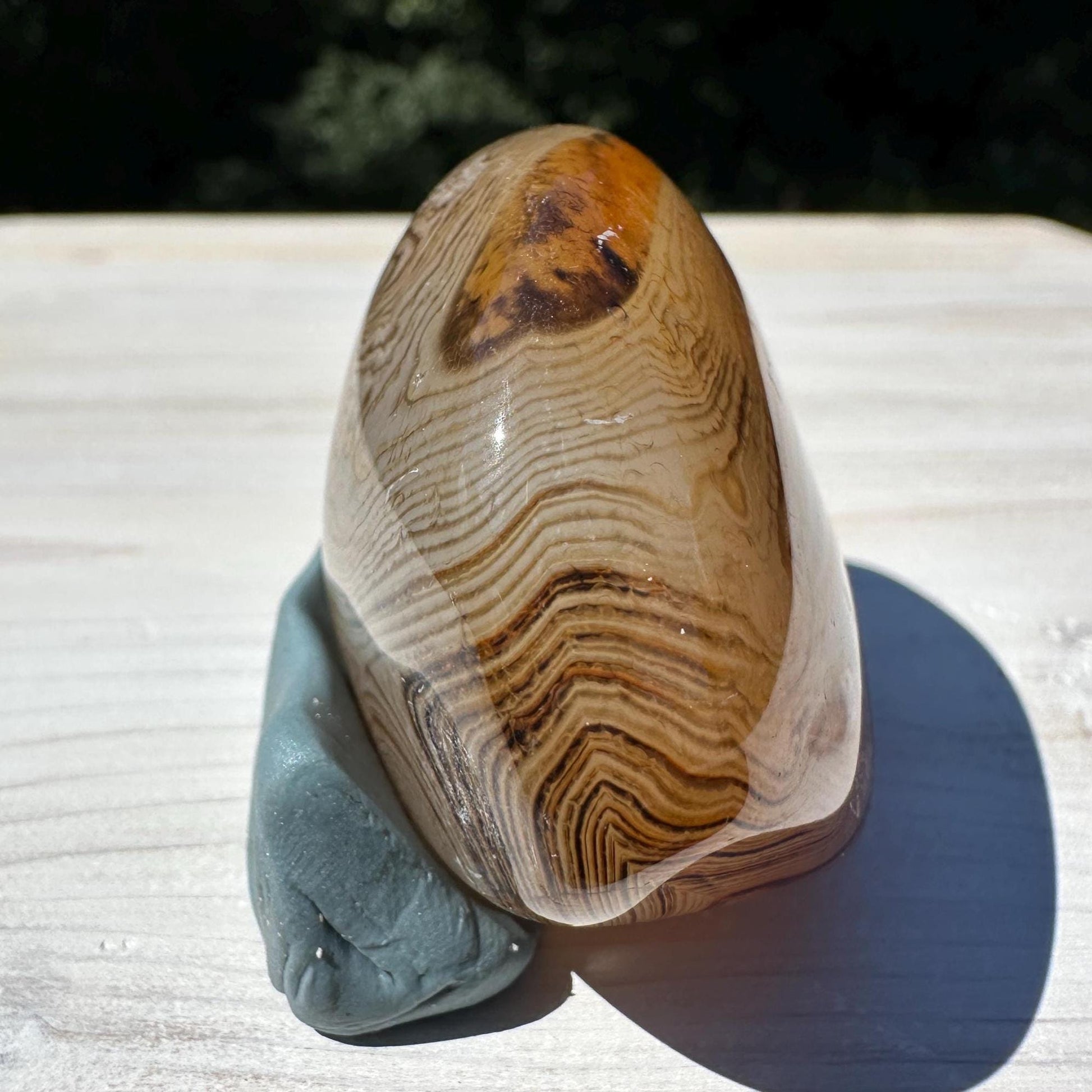 Gorgeous Sardonyx Freeform - #7