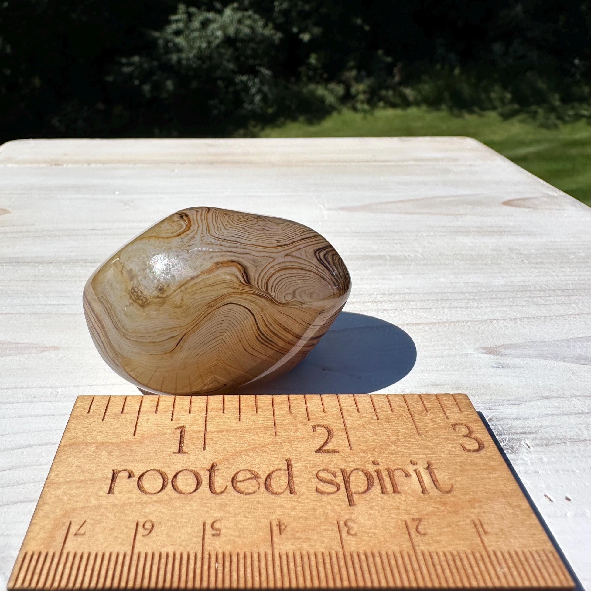 Gorgeous Sardonyx Freeform - #7