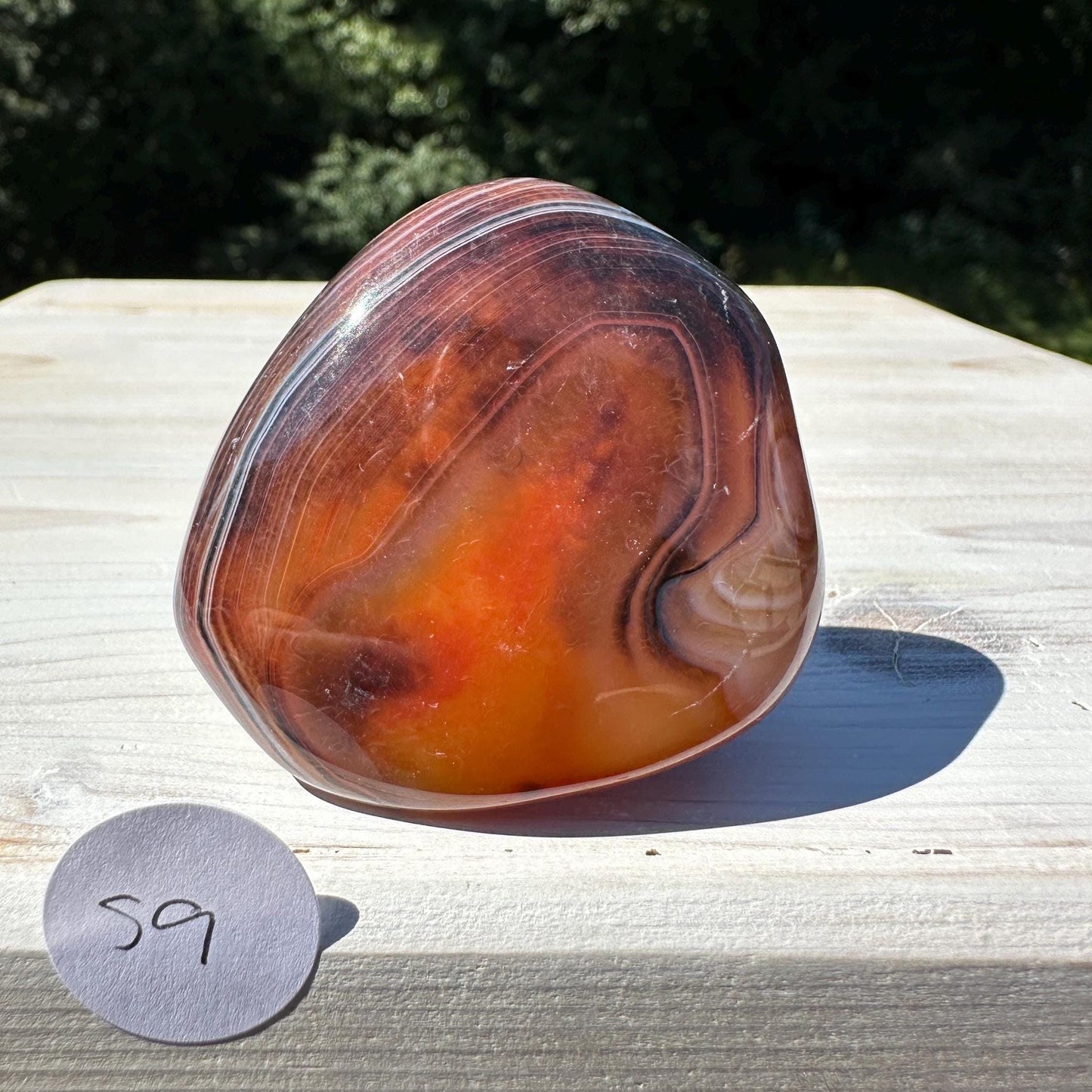 Gorgeous Sardonyx Freeform - #9