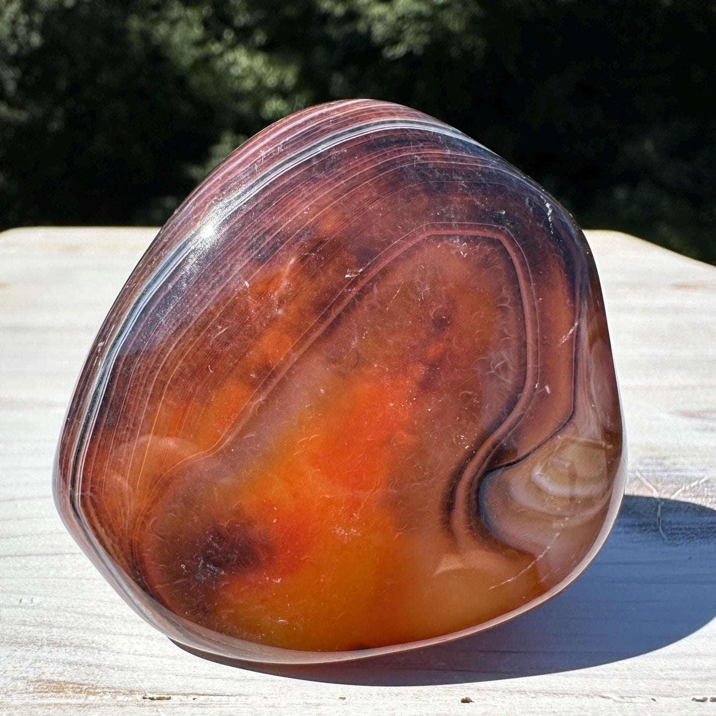 Gorgeous Sardonyx Freeform - #9