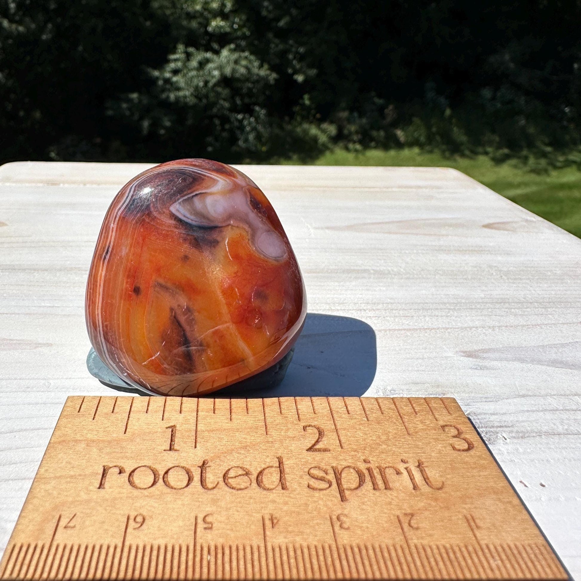Gorgeous Sardonyx Freeform - #9