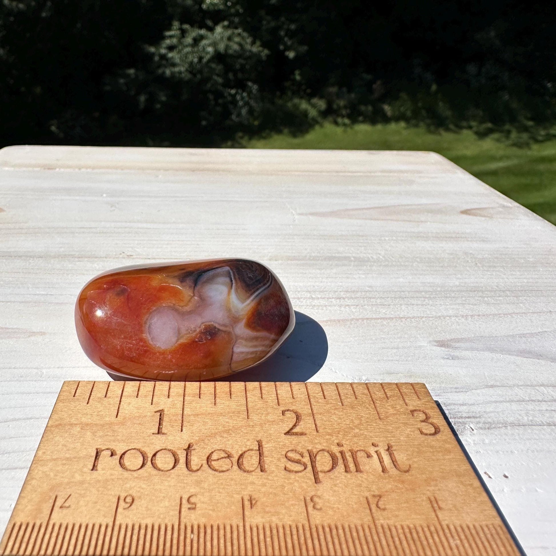 Gorgeous Sardonyx Freeform - #9