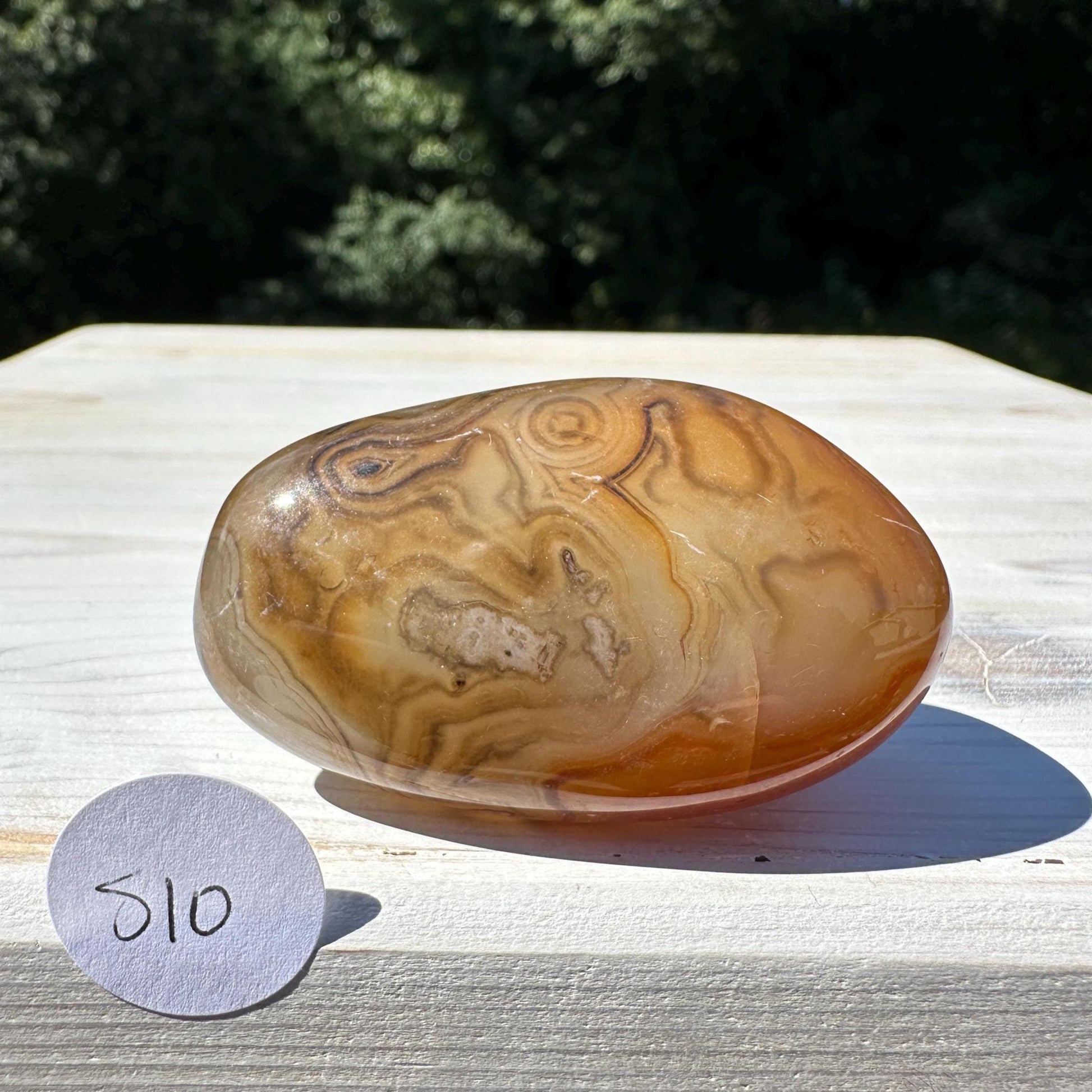 Gorgeous Sardonyx Freeform - #10