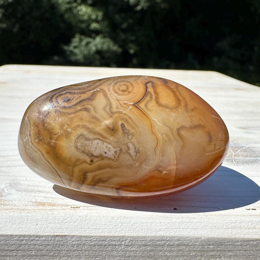 Gorgeous Sardonyx Freeform - #10