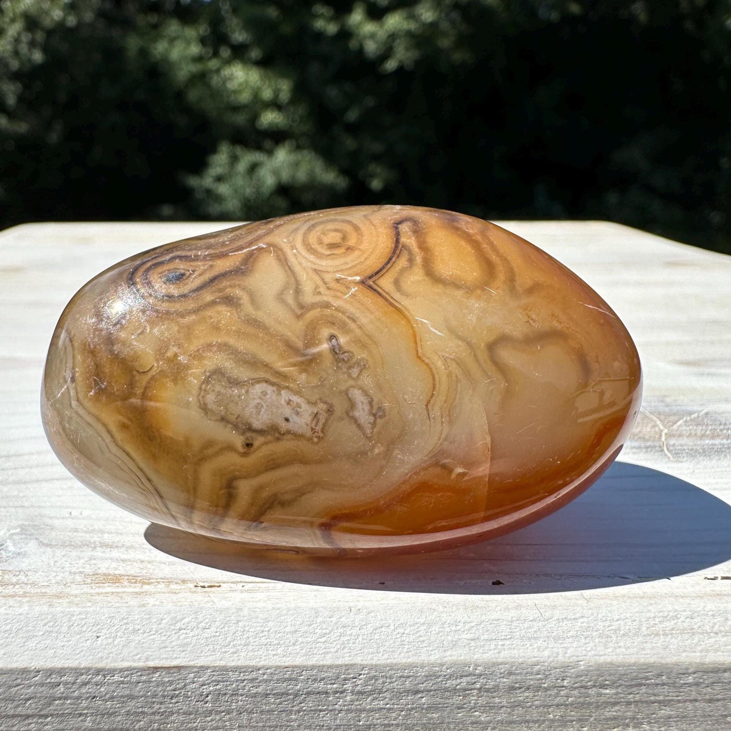Gorgeous Sardonyx Freeform - #10