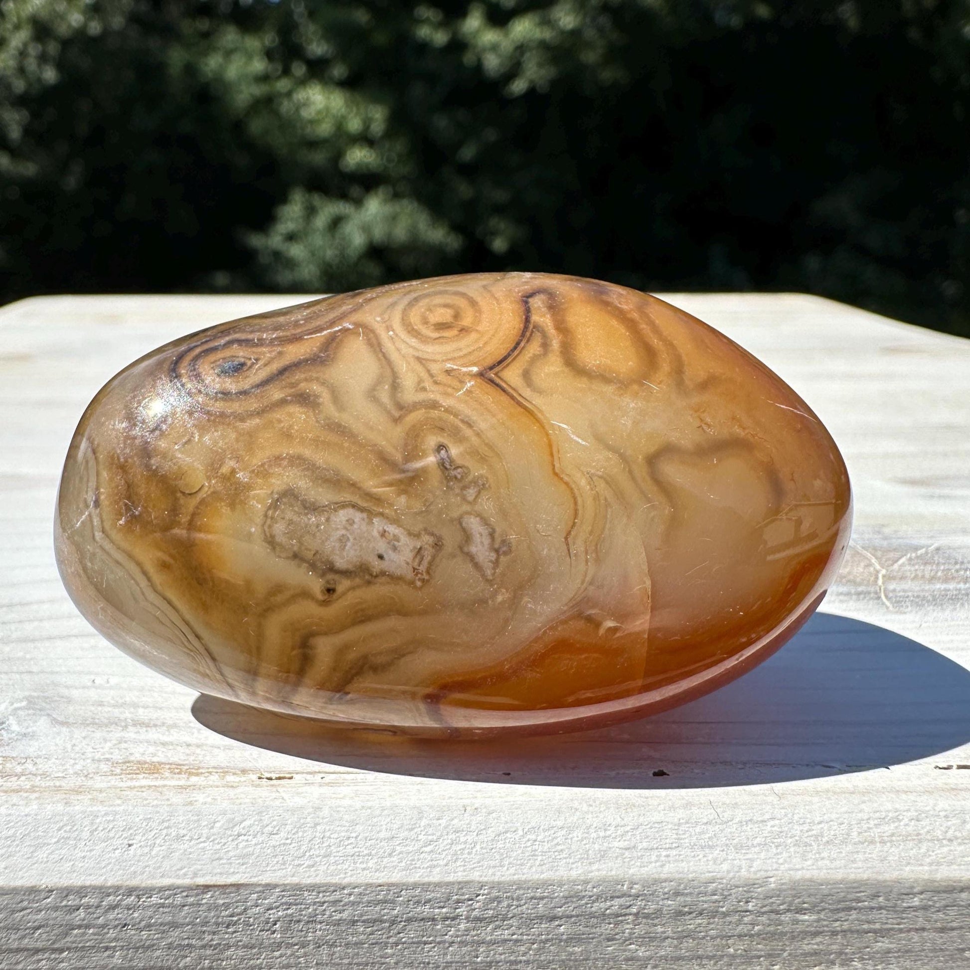 Gorgeous Sardonyx Freeform - #10