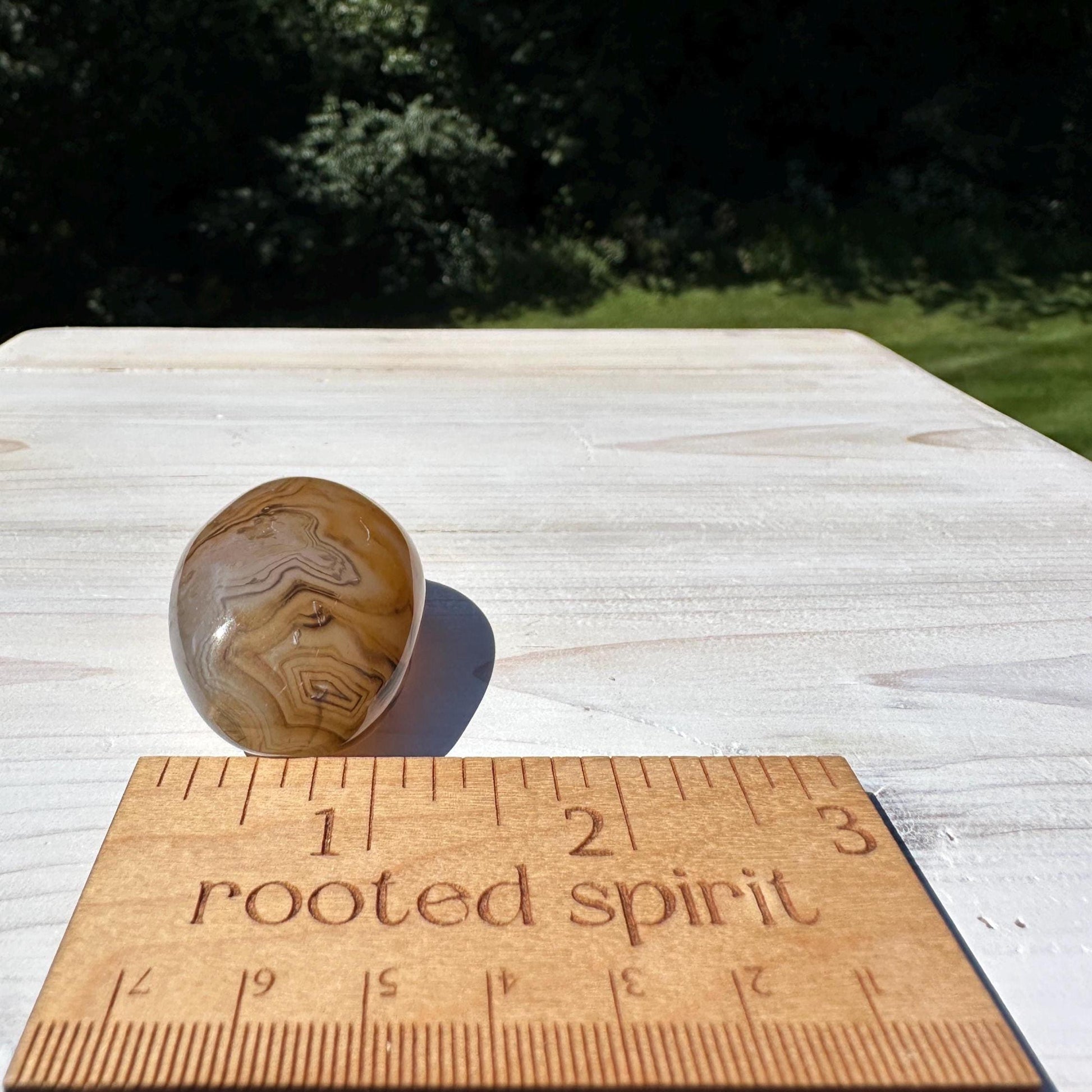 Gorgeous Sardonyx Freeform - #10