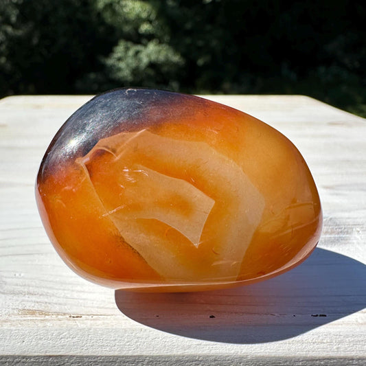 Gorgeous Sardonyx Freeform - #12