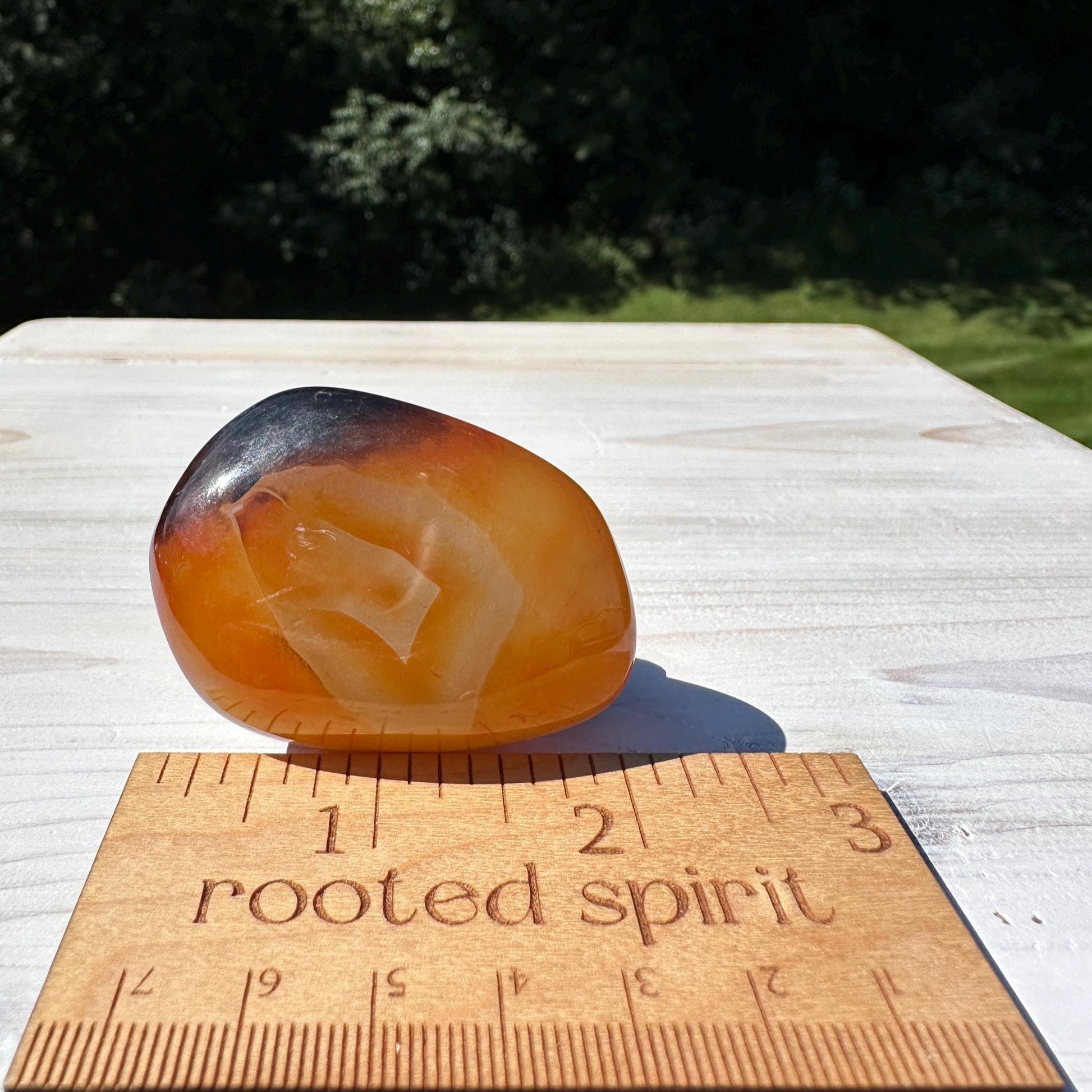 Gorgeous Sardonyx Freeform - #12