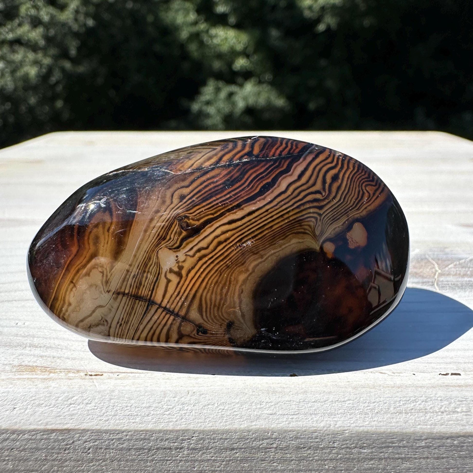 Gorgeous Sardonyx Freeform - #13