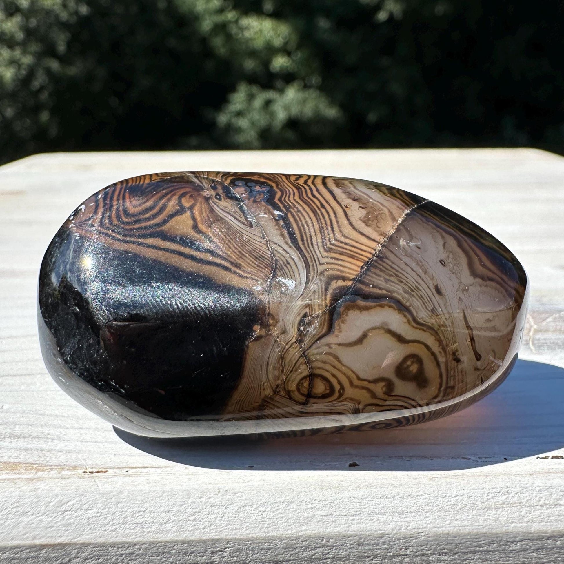 Gorgeous Sardonyx Freeform - #13