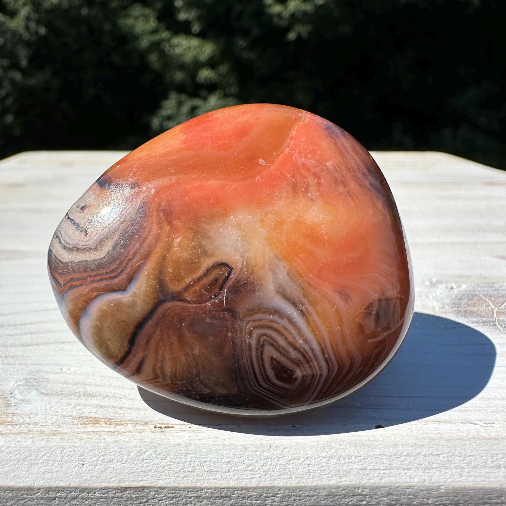 Gorgeous Sardonyx Freeform - #14