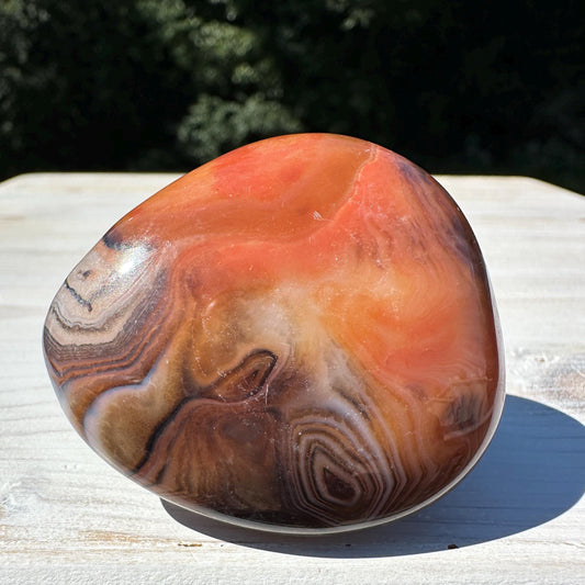 Gorgeous Sardonyx Freeform - #14